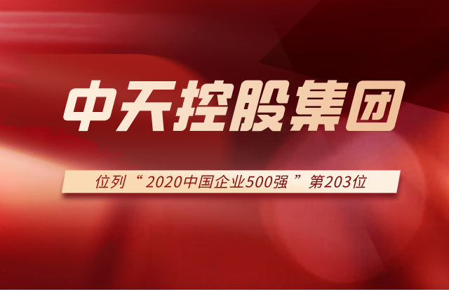 304am永利集团集团列2020中国企业500强第203位！